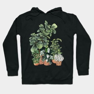 House Plants 8 Hoodie